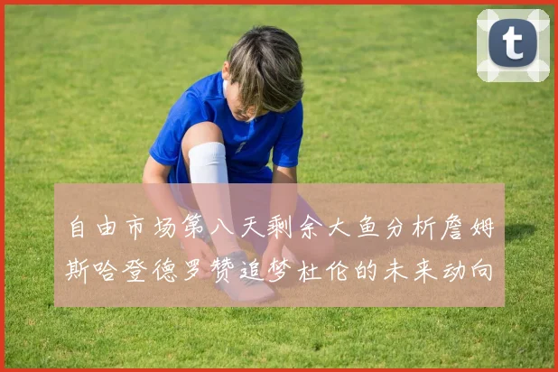 自由市场第八天剩余大鱼分析詹姆斯哈登德罗赞追梦杜伦的未来动向