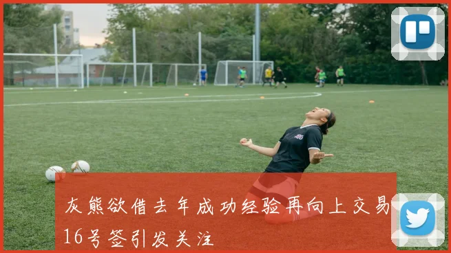 灰熊欲借去年成功经验再向上交易16号签引发关注