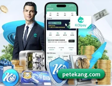 aoa网页版入口 APP